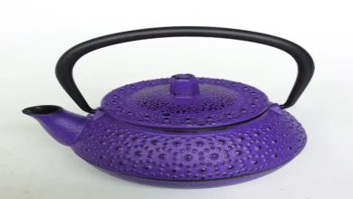 Chinese cast iron teapot